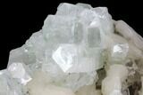 Zoned Apophyllite Crystals With Stilbite - India #91321-3